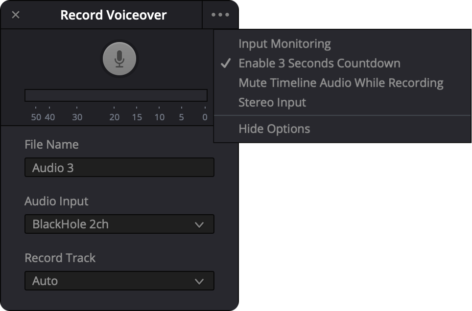 More options menu in the Voiceover Tool