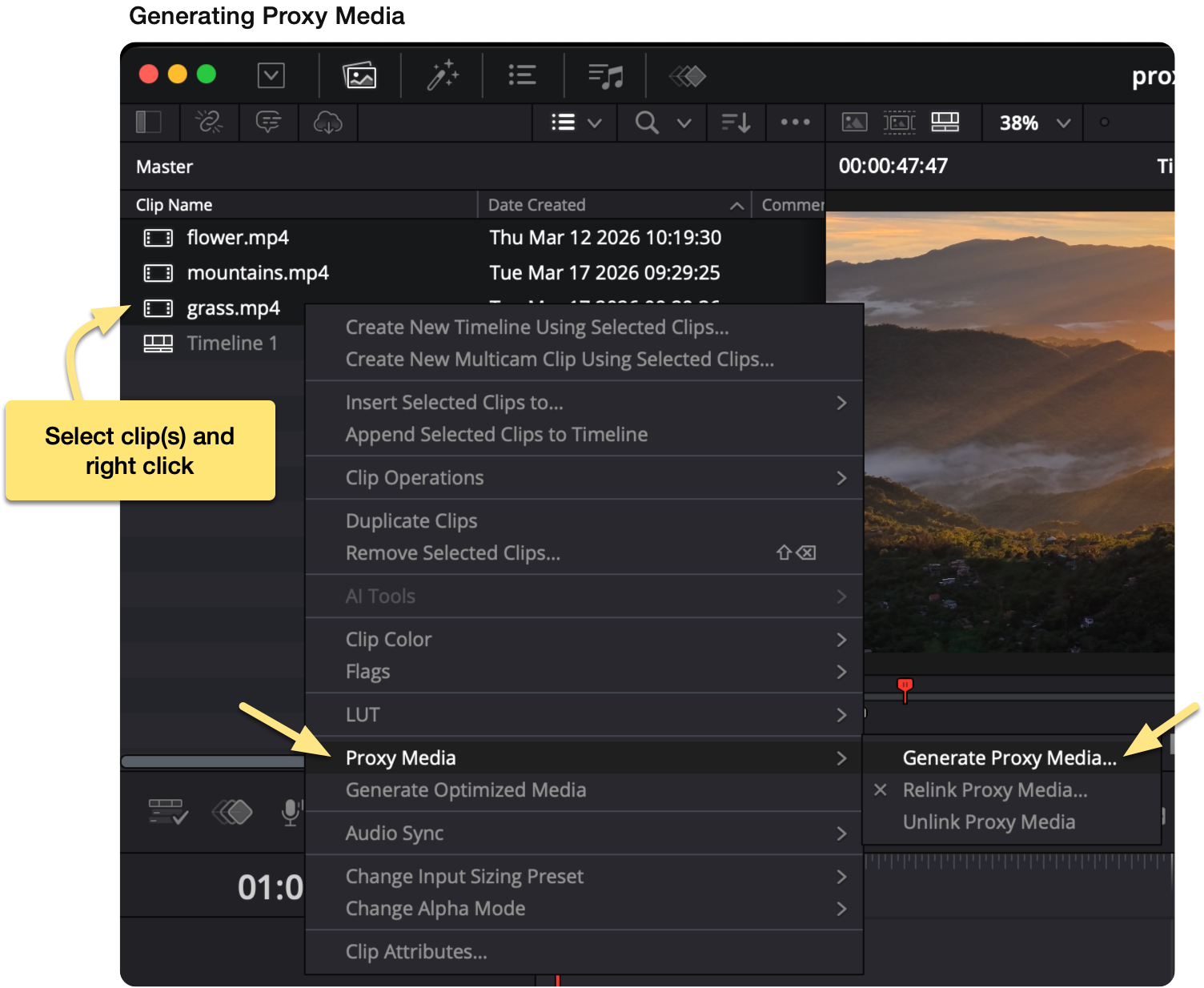 Generating proxy media in DaVinci Resolve