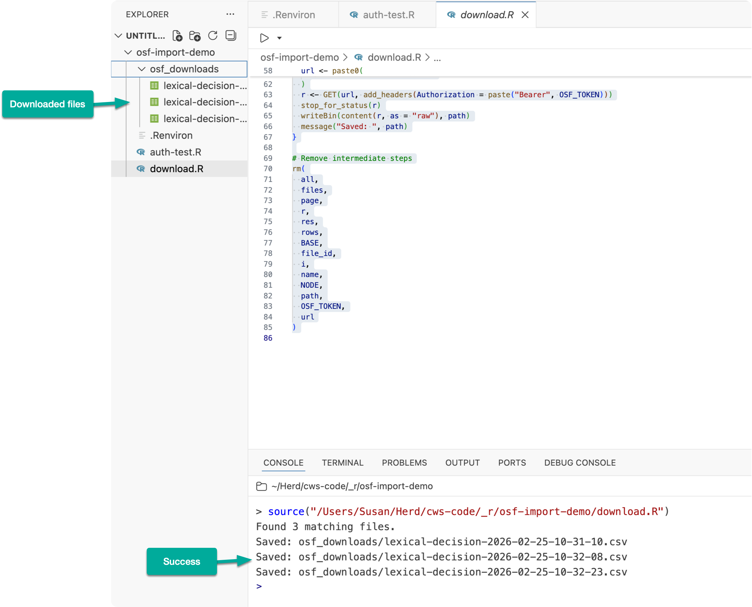 File explorer view showing downloaded OSF data files in the osf_downloads directory