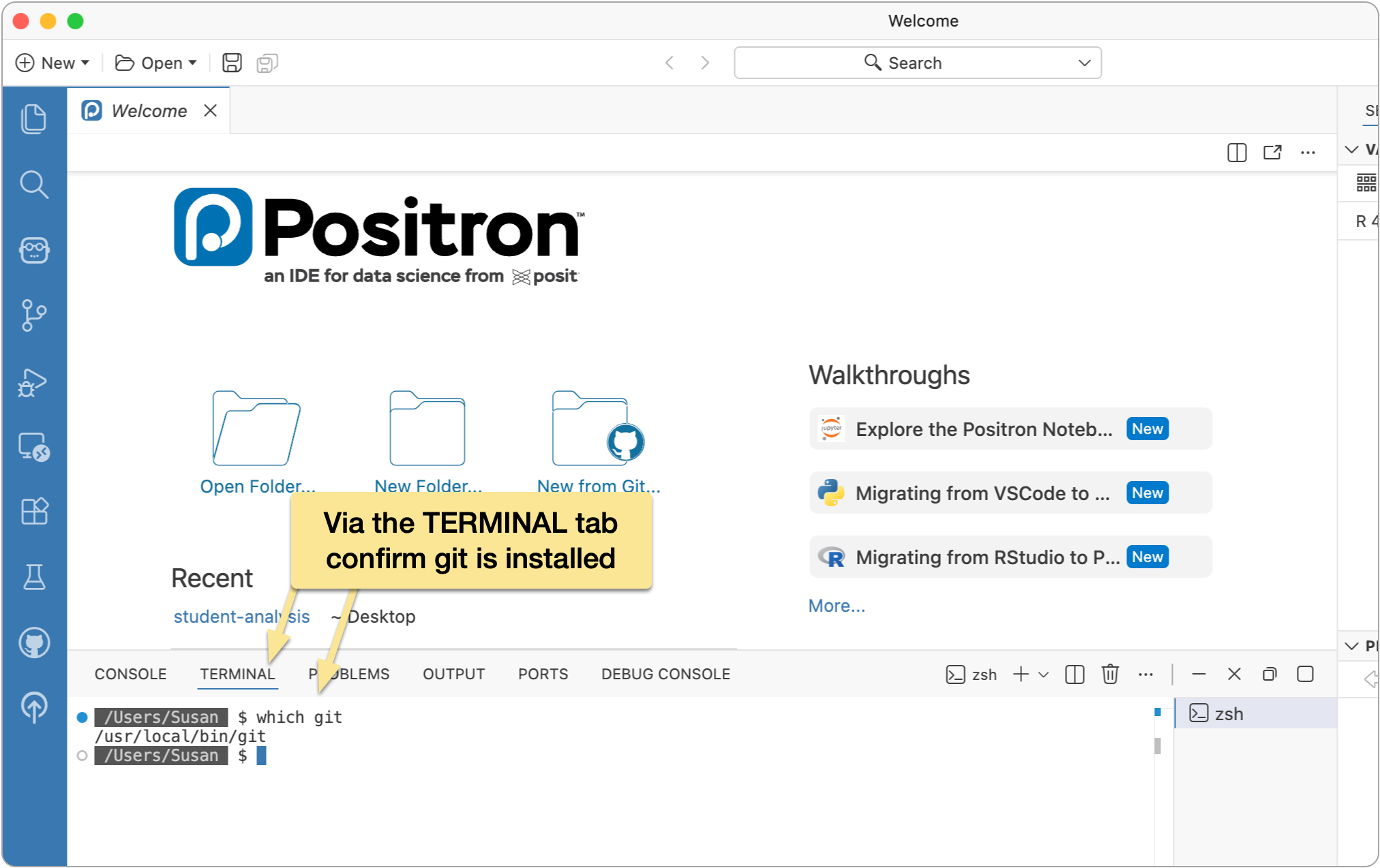 Confirming git is installed in the Positron terminal