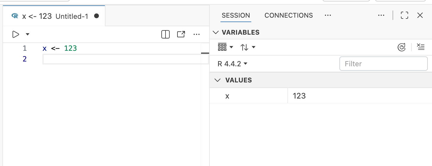 Session Variables pane in Positron displaying objects created in the R session