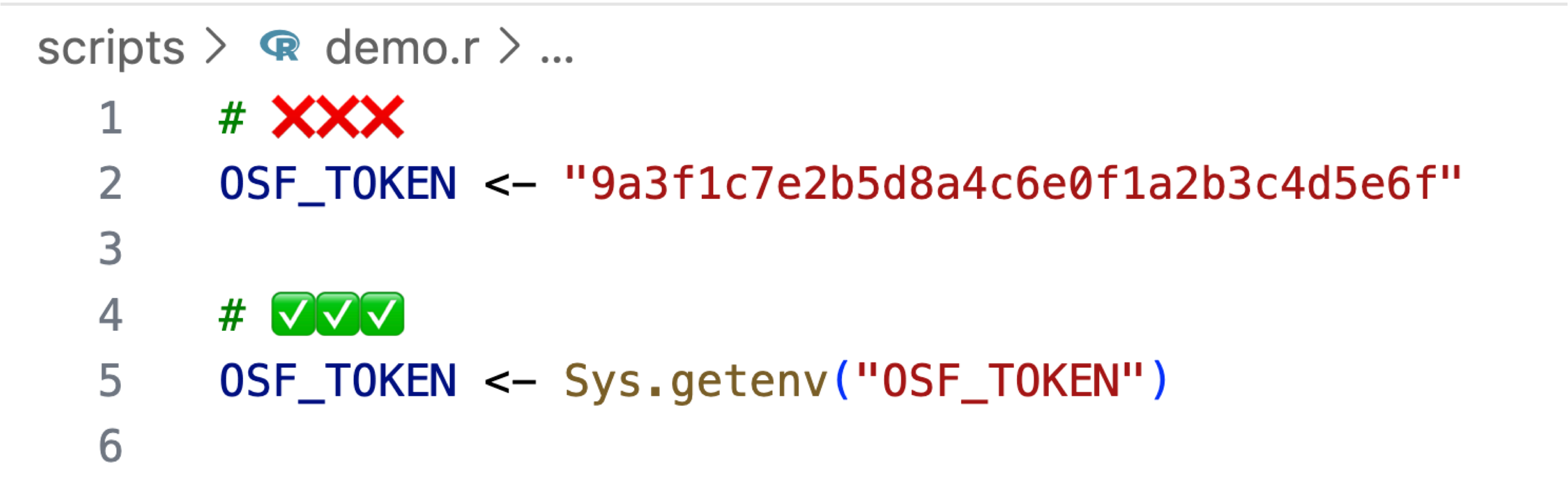 Highlighting the use of R environment variables